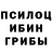 Галлюциногенные грибы MAGIC MUSHROOMS FenixJKE