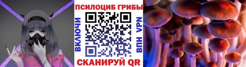 Псилоцибиновые грибы MAGIC MUSHROOMS  Светлоград 